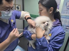 -半岛宠物医院24小时(科华中路店)