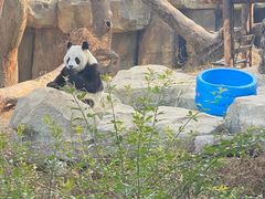 -宁波野生动物园