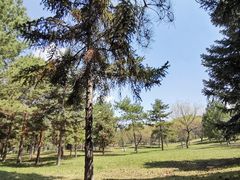 -森林公园(尖草坪区)