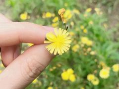 -竹子庵公园