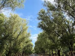 -同里国家湿地公园