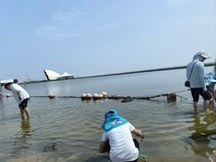 -碧海金沙