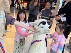 -王府井百货熙地港店