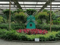 -南宫五洲植物乐园