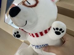 -极光口腔·矫正种植修复(锦江店)