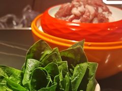 -额尔敦传统涮(公园西路店)