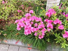 -白塘生态植物园