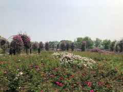 -尚贤河湿地