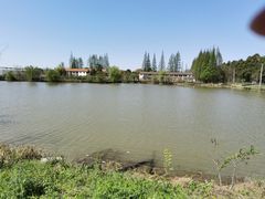 -上海长兴岛郊野公园