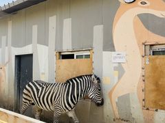 -水上乐园·欢乐世界