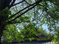-虞山风景区