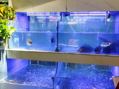 -王捌小院(红花坡店)