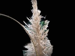 -上海滨江森林公园