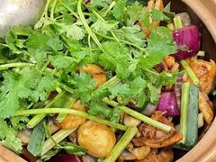 -胡须佬鸡煲四季火锅(龙珠大道店)