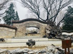 -团结湖公园