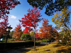景点-玲珑塔公园