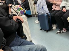 -宋家庄(地铁站)