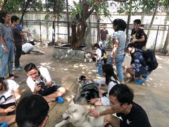 -TrueLove @ Neverland (Husky Cafe)