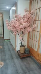 -茉秀必瘦站