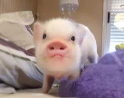 -7嘉nail eyelash·美甲美睫