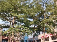 -凤岭儿童公园