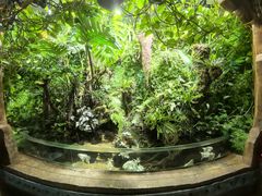 -太平洋海底世界