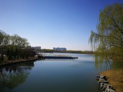 -大兴滨河森林公园