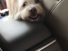 -柯达靓之彩影像网络(明瓦廊店)