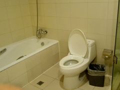 android_upload_pic-白玉兰酒店(上海田子坊马当路地铁站店)