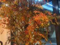 -首秀·四川料理(星耀101店)