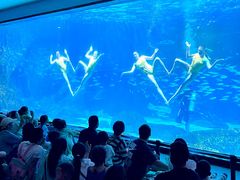 -海合安成都极地海洋公园