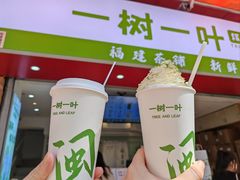 -一树一叶·福建茶档(石鼓路店)