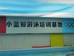 -小蓝鲸游泳培训基地(积水潭店)