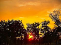 -盘龙城国家考古遗址公园