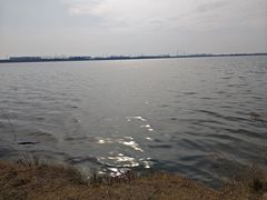 -漕湖湿地公园