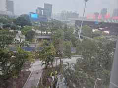 -维也纳国际酒店·深圳北站店