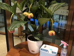 -眉州东坡(通州店)