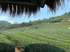 -优游吧斯邹族文化部落