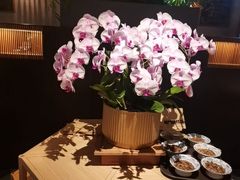 -庐灶江南·江南菜·四合院Bistro(东直门雍和宫·原华侨宾馆店)