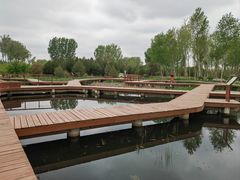 -东郊湿地公园