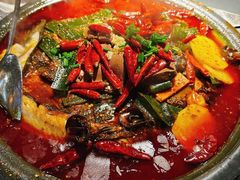 -探鱼·鲜青椒爽麻烤鱼(天一广场店)
