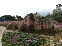 -广州市流溪河国家森林公园