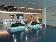 -重庆江北国际机场-T2航站楼