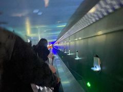 -白鹤梁水下博物馆