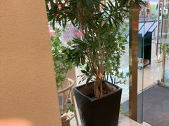-吴家·非遗淮扬小馆(镇江万达广场店)