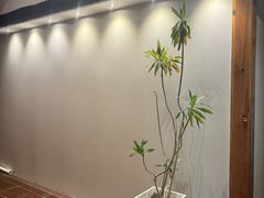-鸥迪足道(湖南示范店)