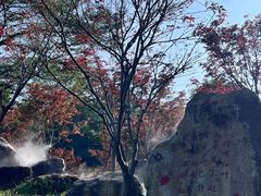 -广州市帽峰山景区