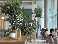 -SAANCI山池咖啡(海上世界文化艺术中心店)