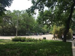 -中央民族大学