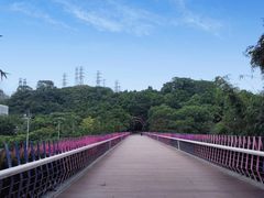 -玉树公园